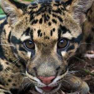 Meet your Posher, Kari